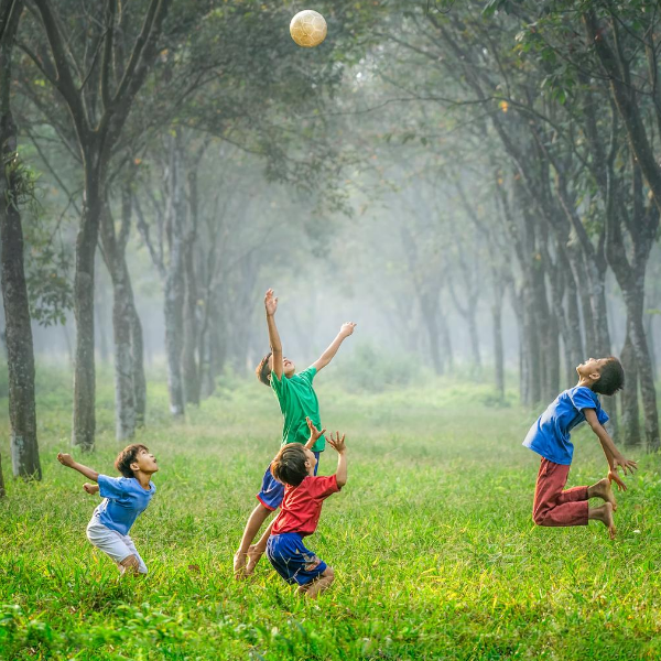 Esperienze in natura come necessità di apprendimento