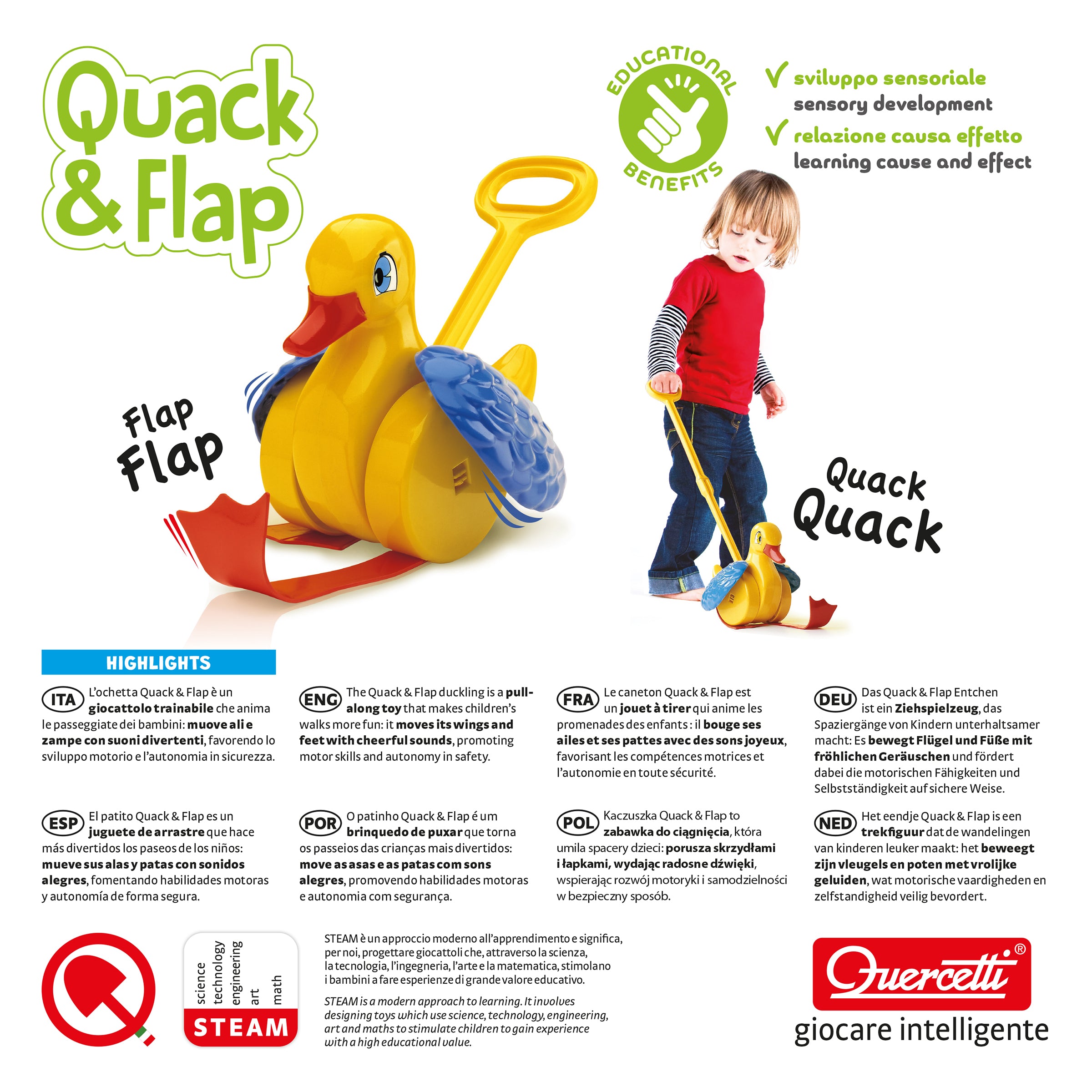 Quack & Flap | Quercetti